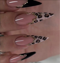 Wild Tips