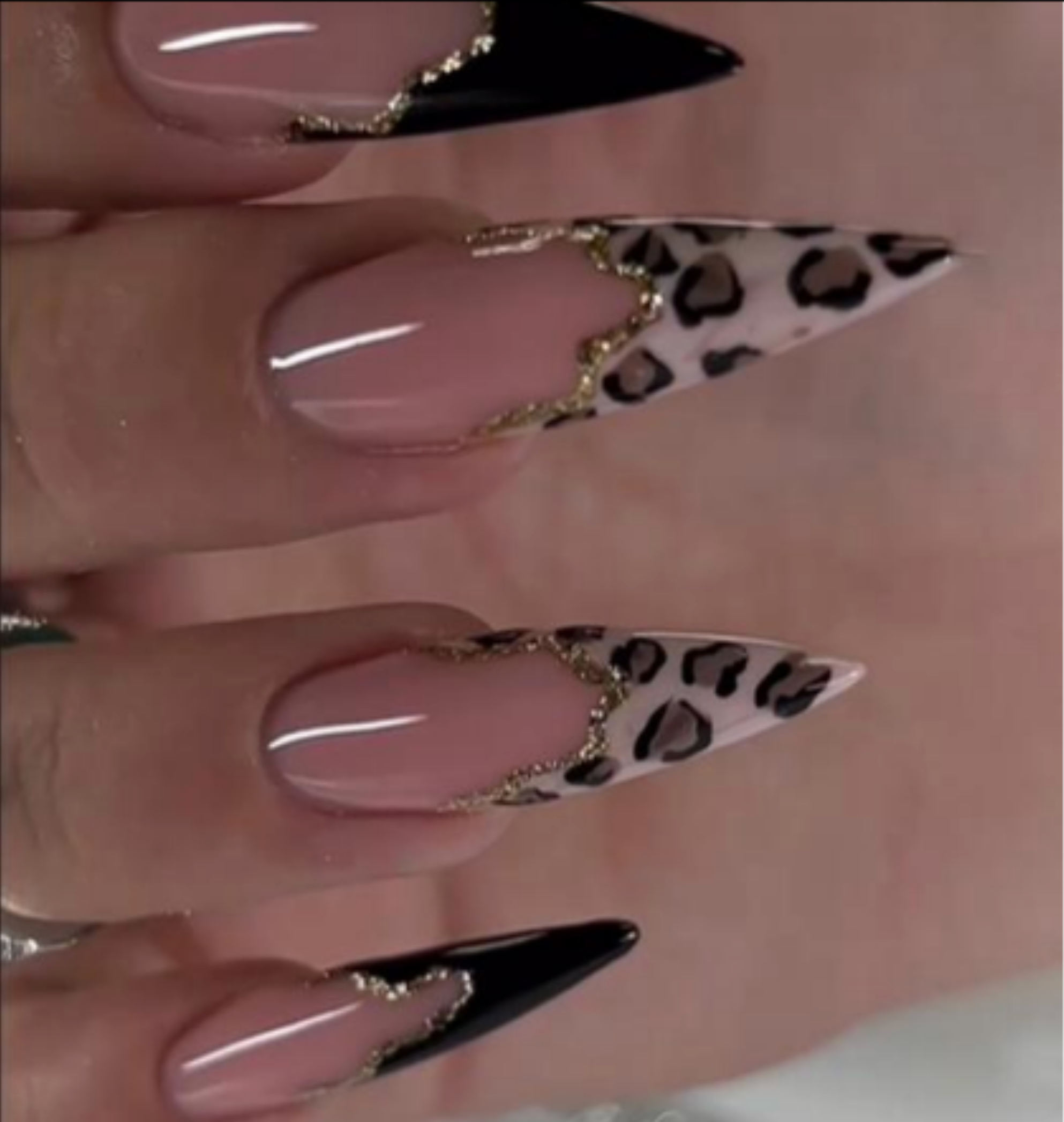 Wild Tips