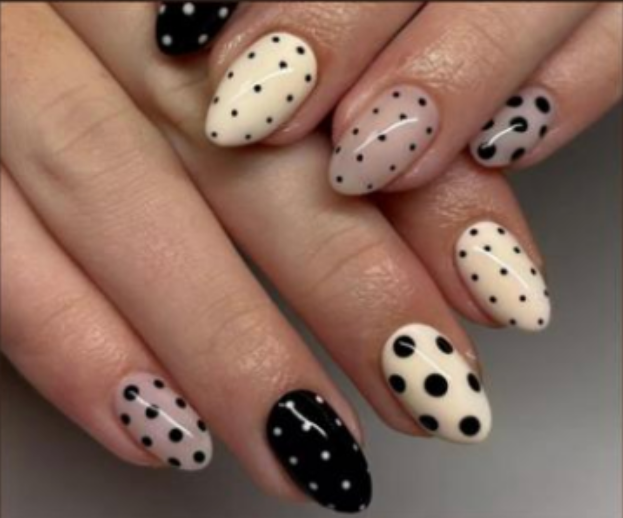 Polka Dot Noir